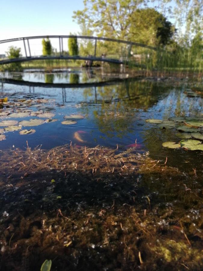 ホテル Oasi Bianca Pomposa エクステリア 写真